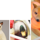 Image for article titled Pinball Game Made Out Of All The Internet Memes